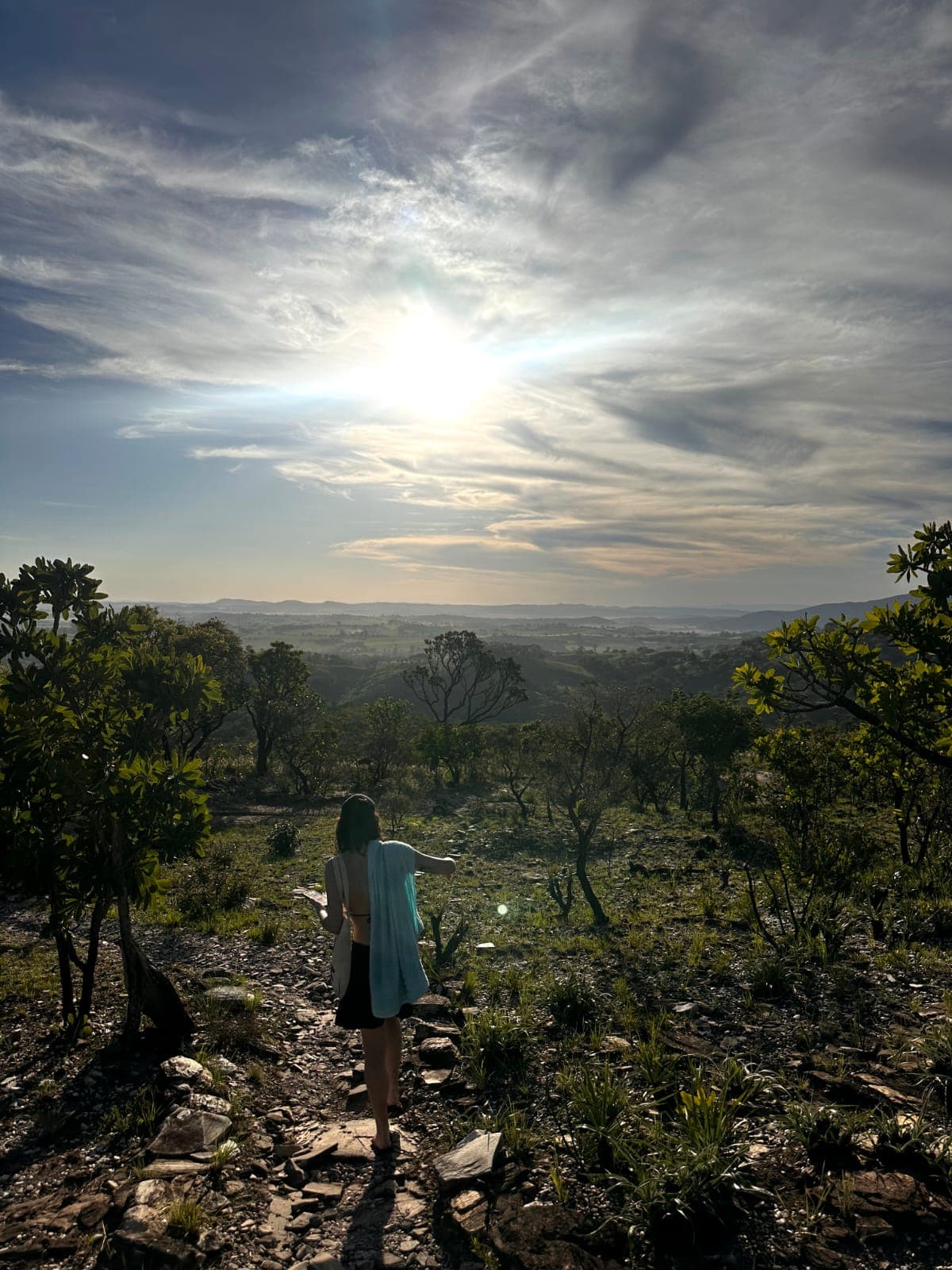Vista